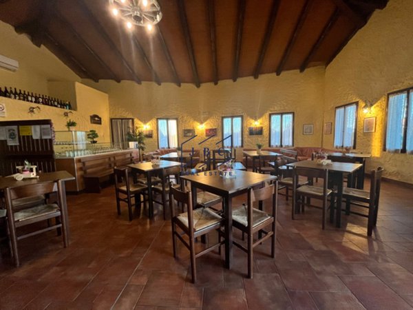 negozio in affitto a Salgareda