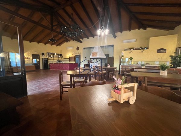 negozio in affitto a Salgareda