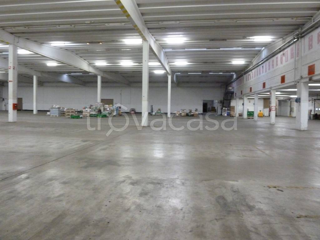 locale commerciale in affitto a San Biagio di Callalta