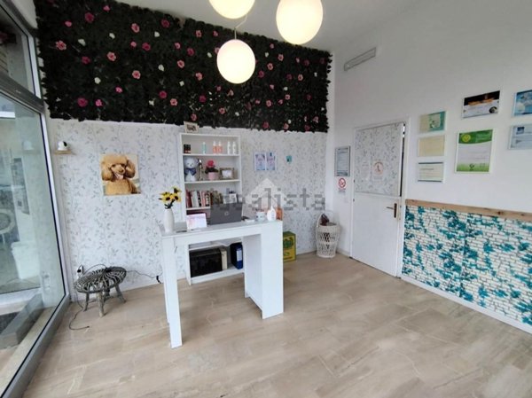 negozio in affitto a San Biagio di Callalta