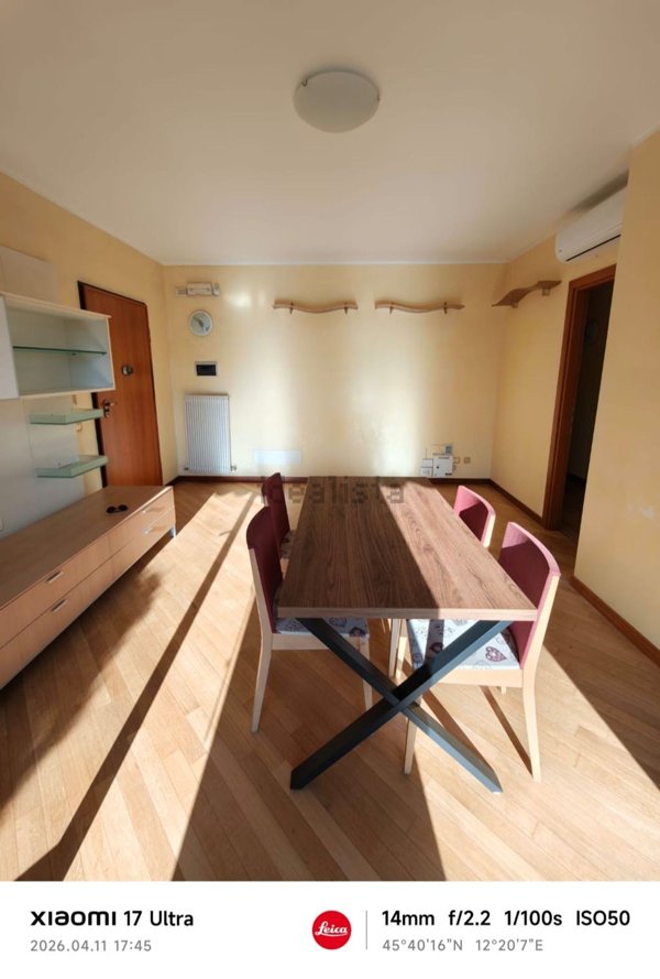 appartamento in affitto a San Biagio di Callalta