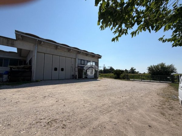 capannone in affitto a San Zenone degli Ezzelini in zona Ca' Rainati