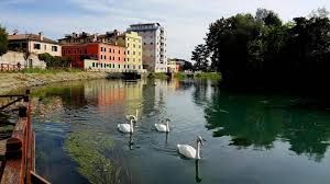 appartamento in affitto a Silea