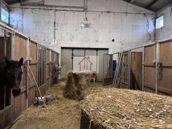 locale commerciale in affitto a Spresiano