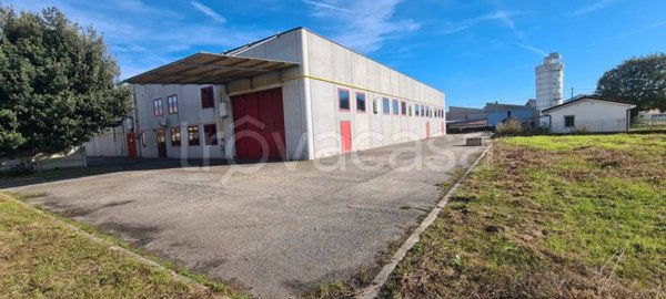 locale commerciale in affitto a Spresiano in zona Lovadina