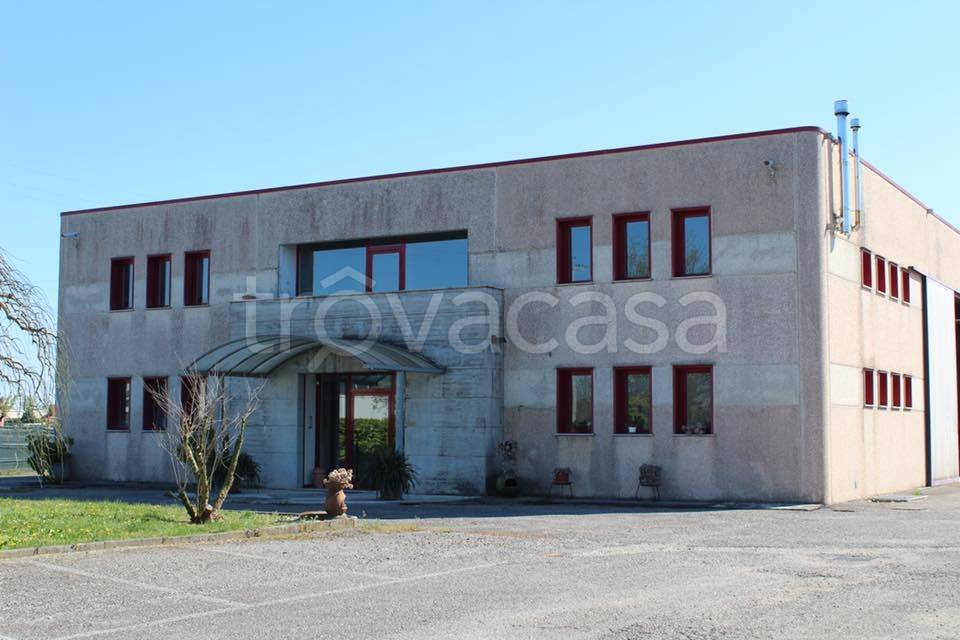 locale commerciale in affitto a Susegana