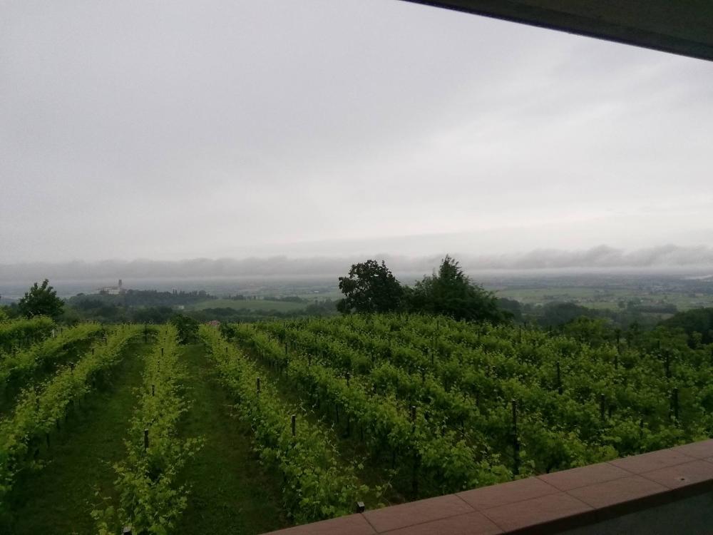 appartamento in affitto a Susegana in zona Colfosco