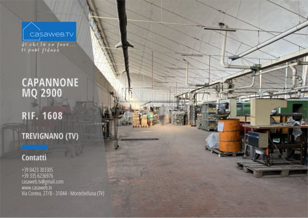 capannone in affitto a Trevignano in zona Signoressa