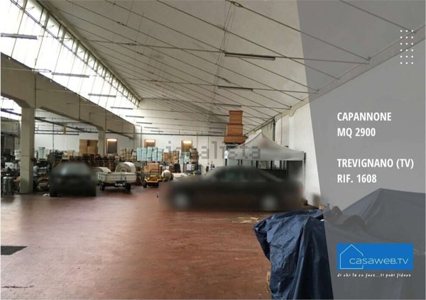 capannone in affitto a Trevignano in zona Signoressa