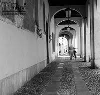 negozio in affitto a Treviso in zona Centro Storico