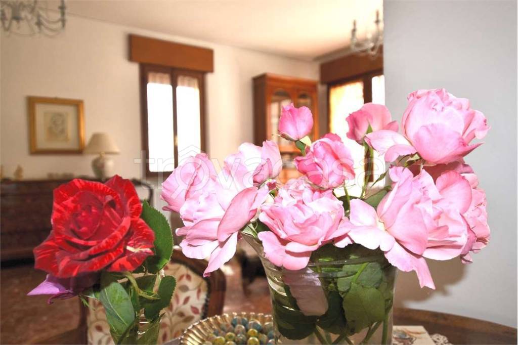 casa indipendente in affitto a Treviso in zona San Lazzaro