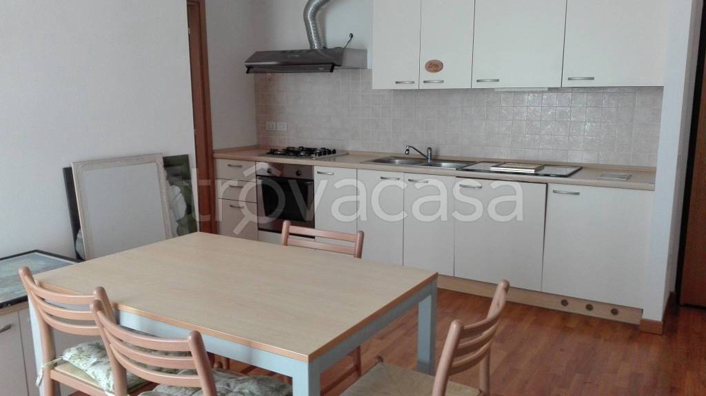 appartamento in affitto a Treviso in zona Monigo