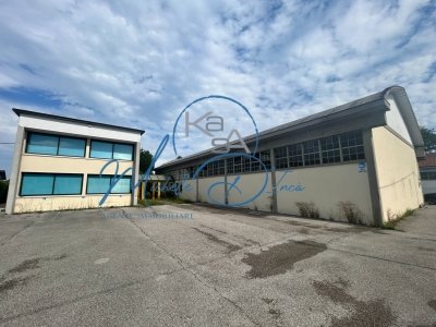 negozio in affitto a Treviso