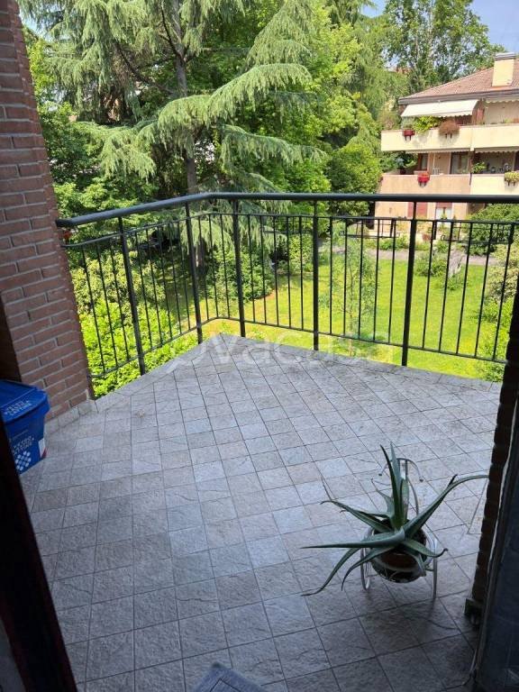 appartamento in affitto a Treviso
