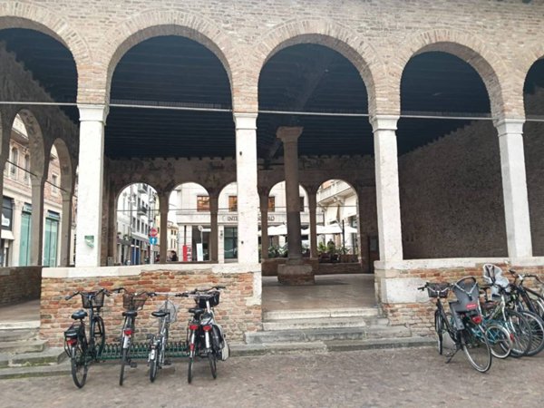 appartamento in affitto a Treviso