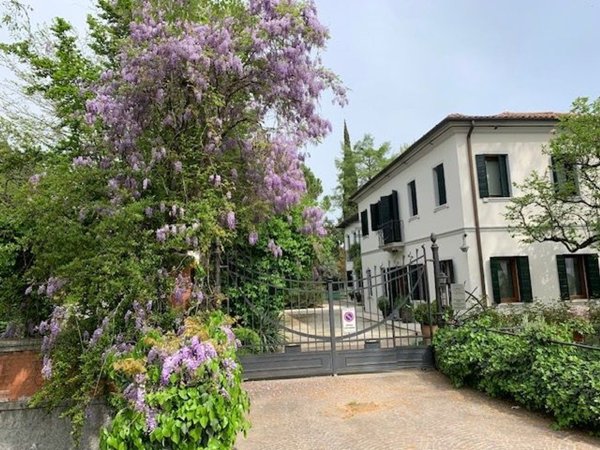 ufficio in affitto a Treviso