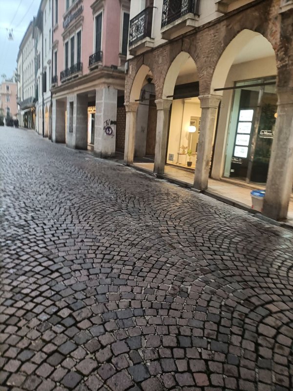negozio in affitto a Treviso