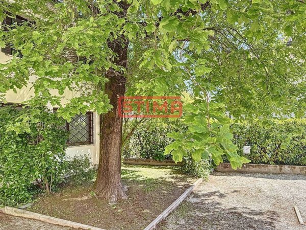 ufficio in affitto a Treviso