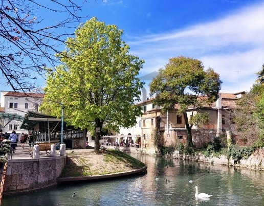 appartamento in affitto a Treviso in zona Centro Storico