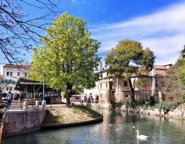 appartamento in affitto a Treviso in zona Centro Storico