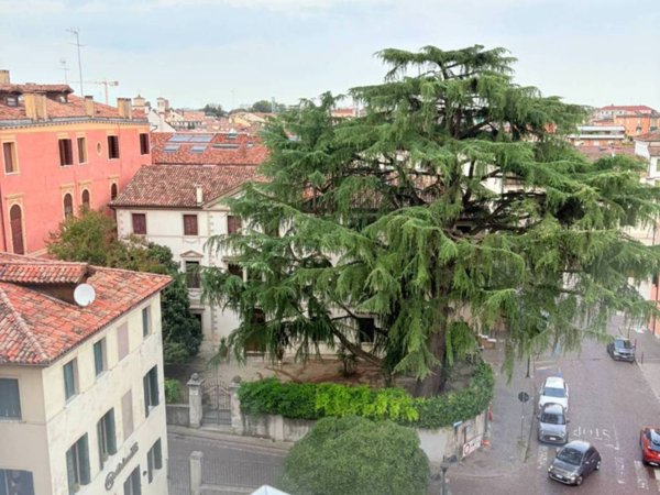 appartamento in affitto a Treviso in zona Centro Storico