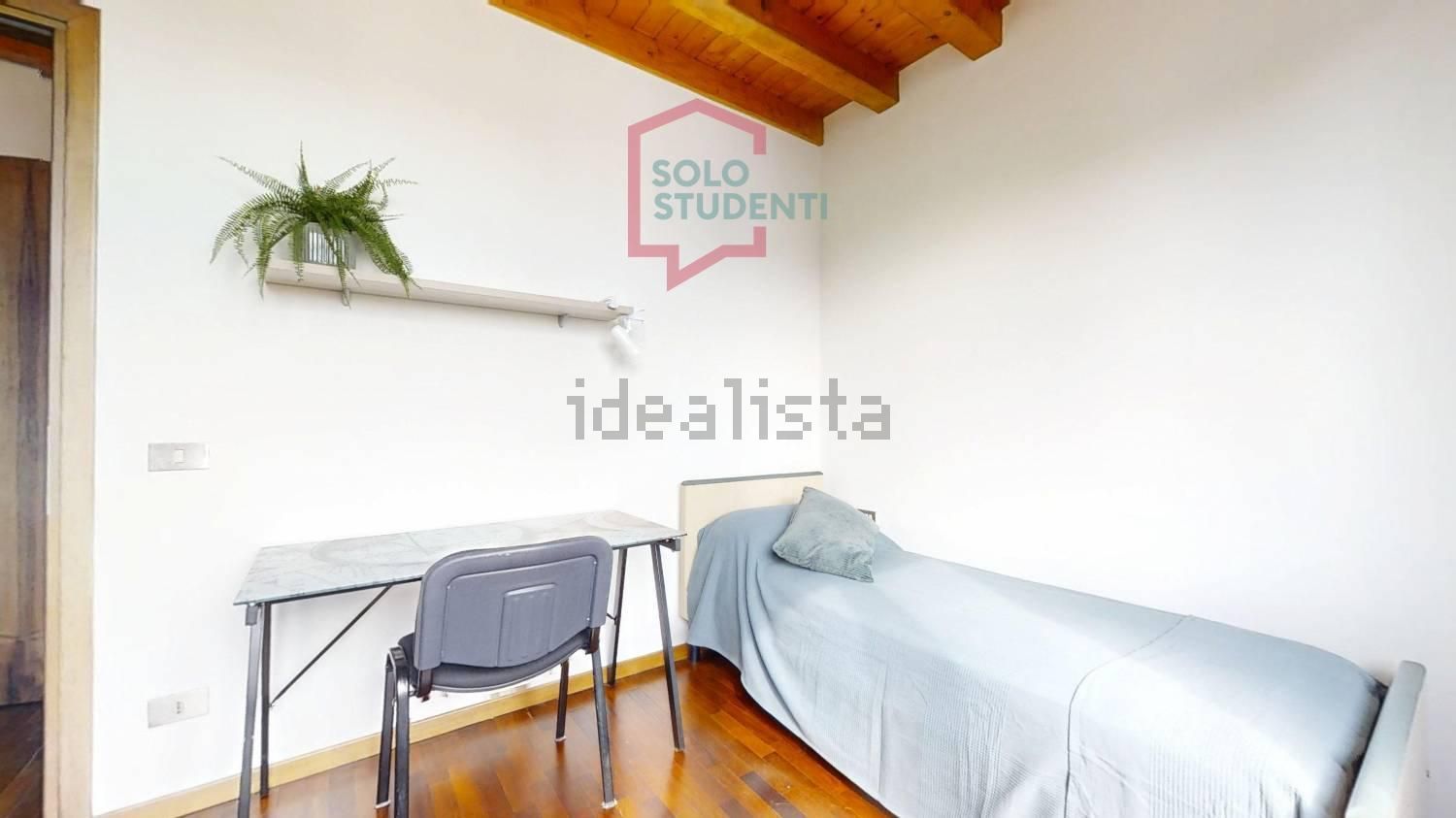 appartamento in affitto a Treviso