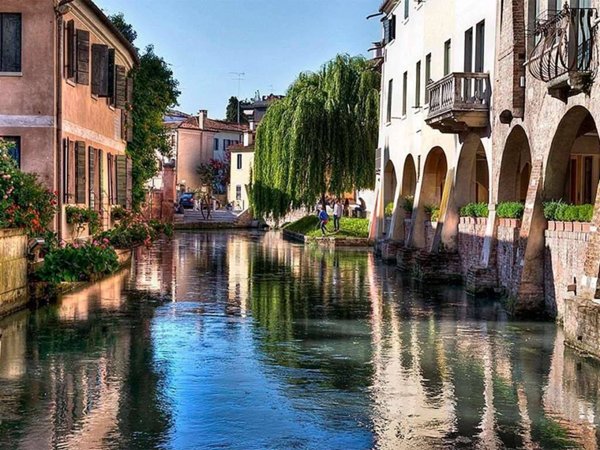 negozio in affitto a Treviso