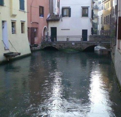 appartamento in affitto a Treviso in zona Centro Storico