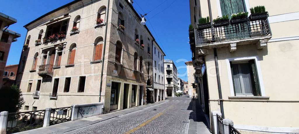 appartamento in affitto a Treviso