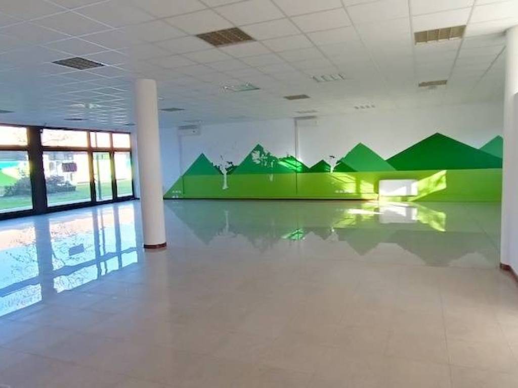 negozio in affitto a Treviso