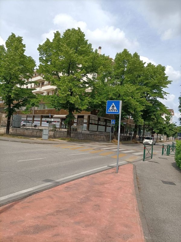 appartamento in affitto a Treviso