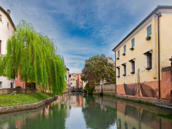 ufficio in affitto a Treviso in zona Centro Storico
