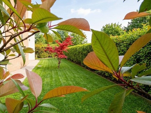 appartamento in affitto a Treviso in zona Sant'Angelo