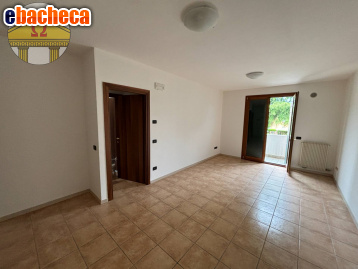 ufficio in affitto a Villorba