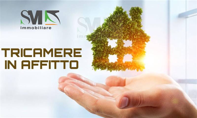 appartamento in affitto a Pieve del Grappa