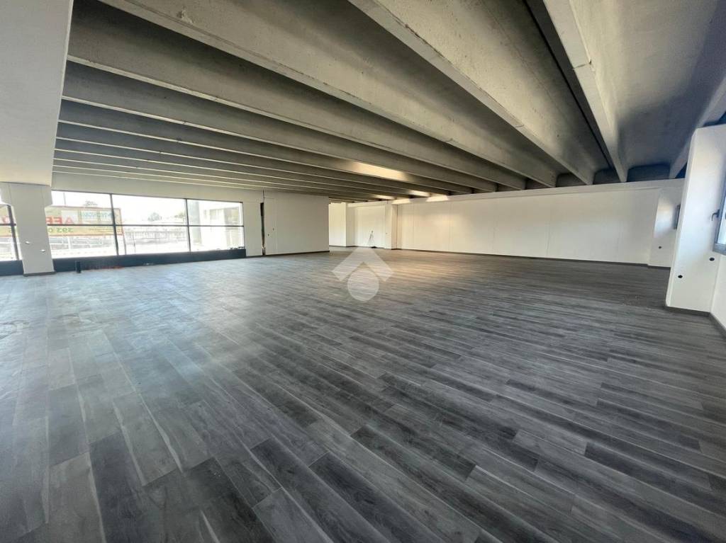 negozio in affitto a Campagna Lupia