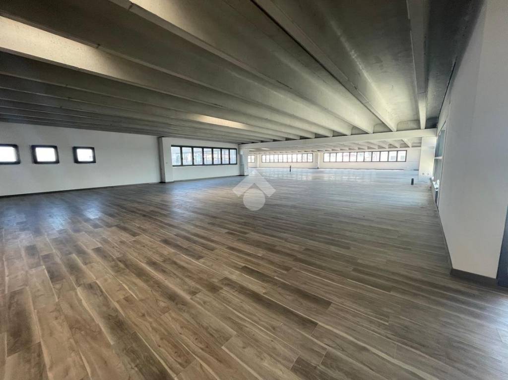 negozio in affitto a Campagna Lupia