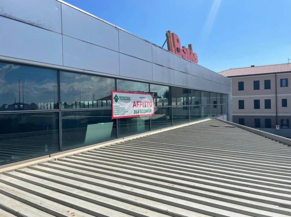 negozio in affitto a Campagna Lupia