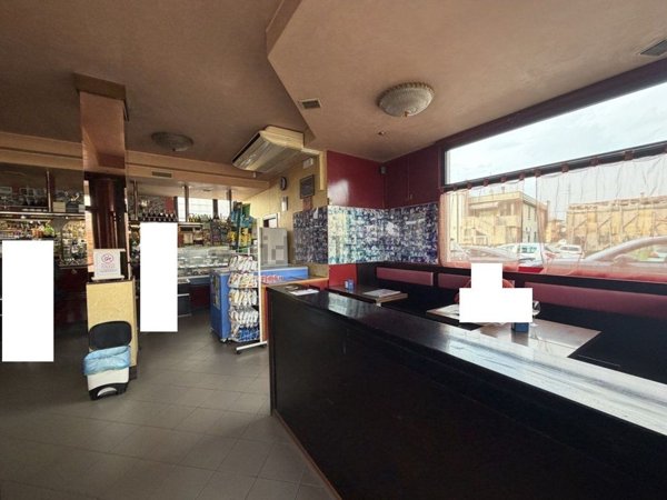 negozio in affitto a Campagna Lupia