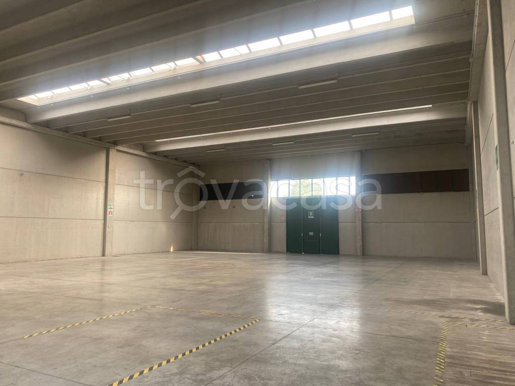 appartamento in affitto a Camponogara