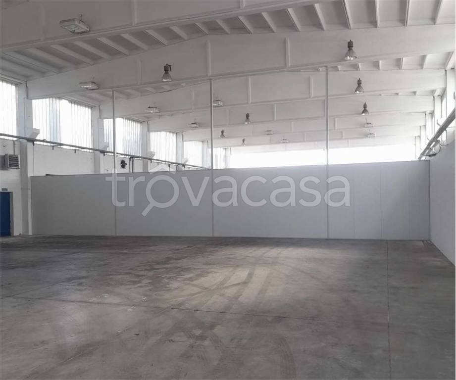appartamento in affitto a Camponogara
