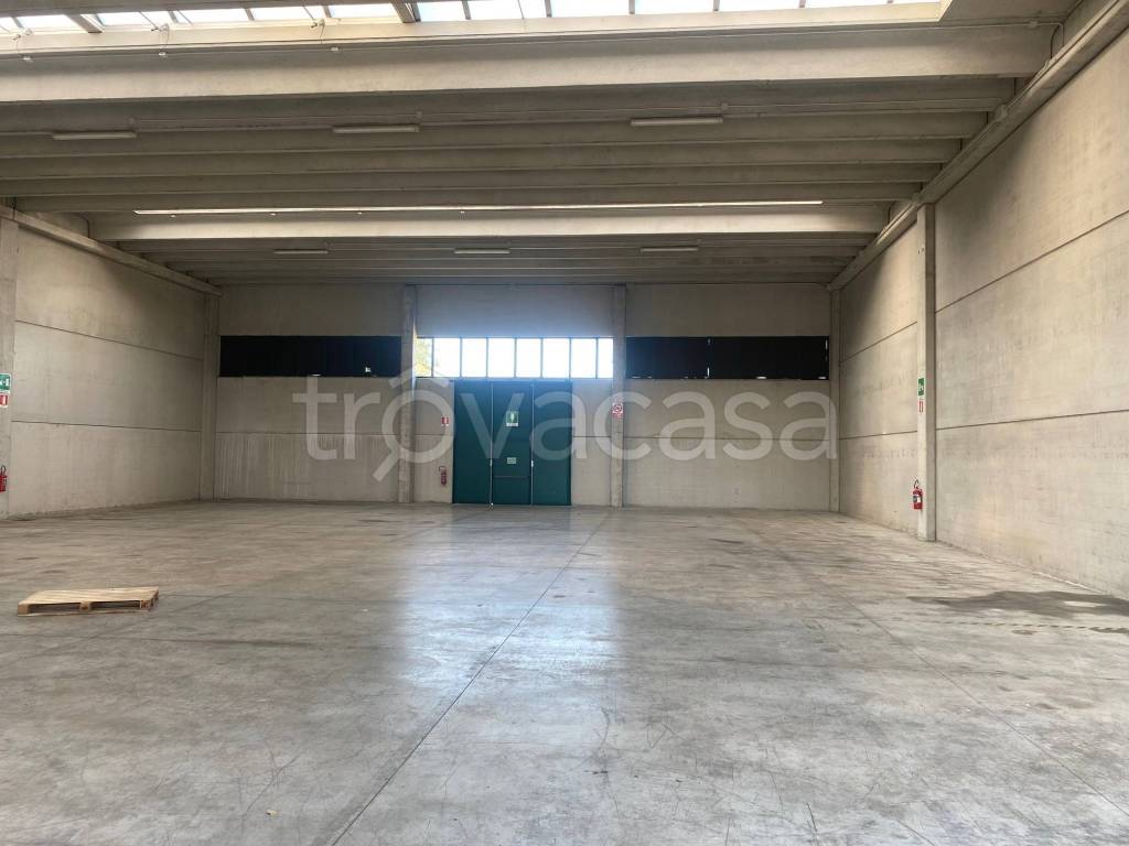 appartamento in affitto a Camponogara
