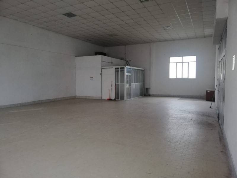 ufficio in affitto a Cavarzere