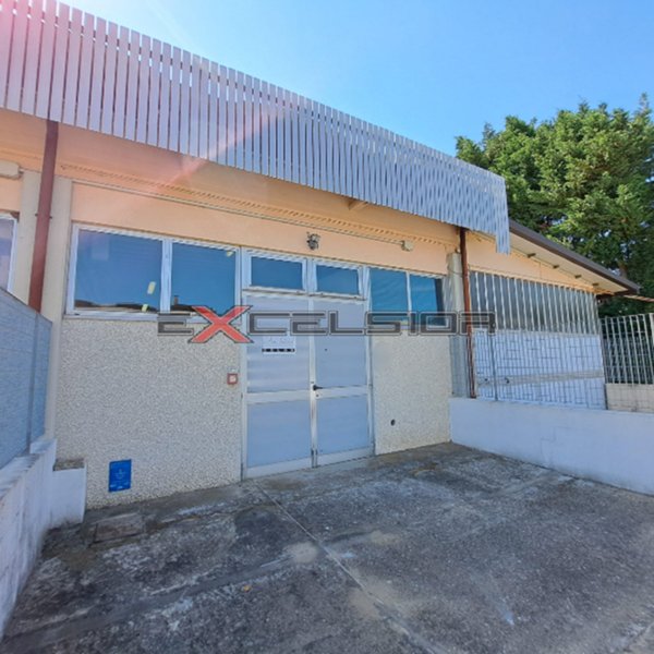 locale di sgombero in affitto a Cavarzere