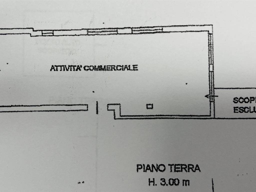 negozio in affitto a Chioggia in zona Sottomarina