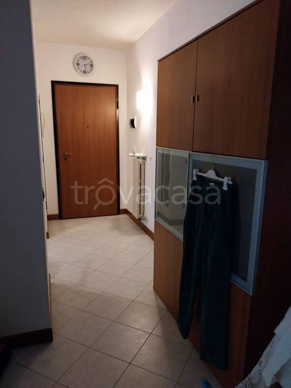 appartamento in affitto a Dolo