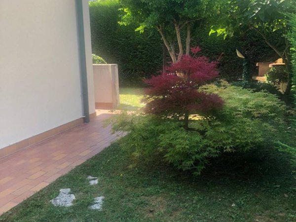 appartamento in affitto a Dolo