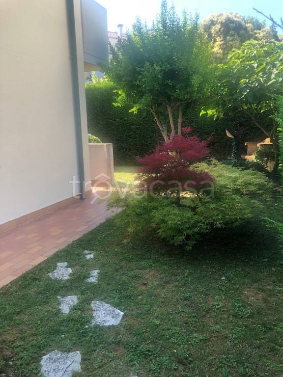 appartamento in affitto a Dolo