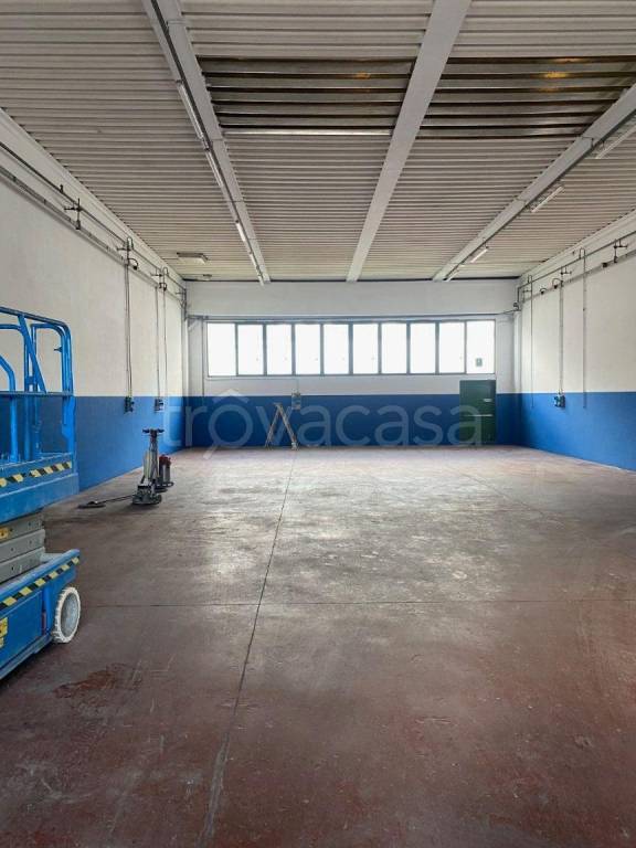 appartamento in affitto a Dolo