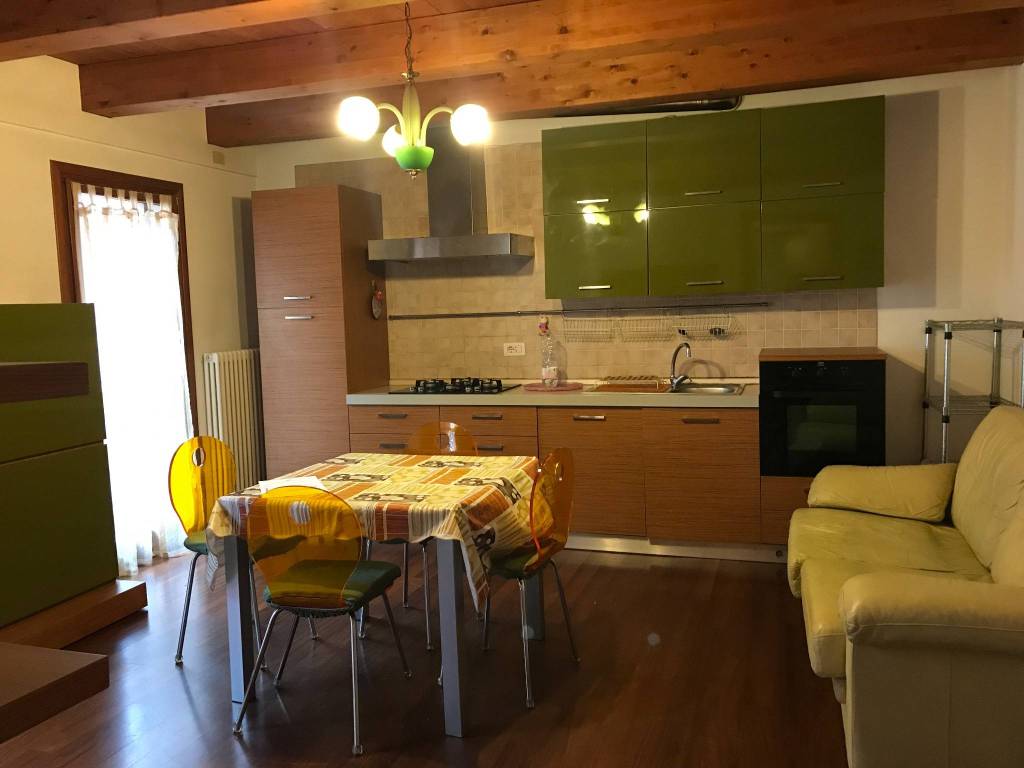appartamento in affitto a Dolo